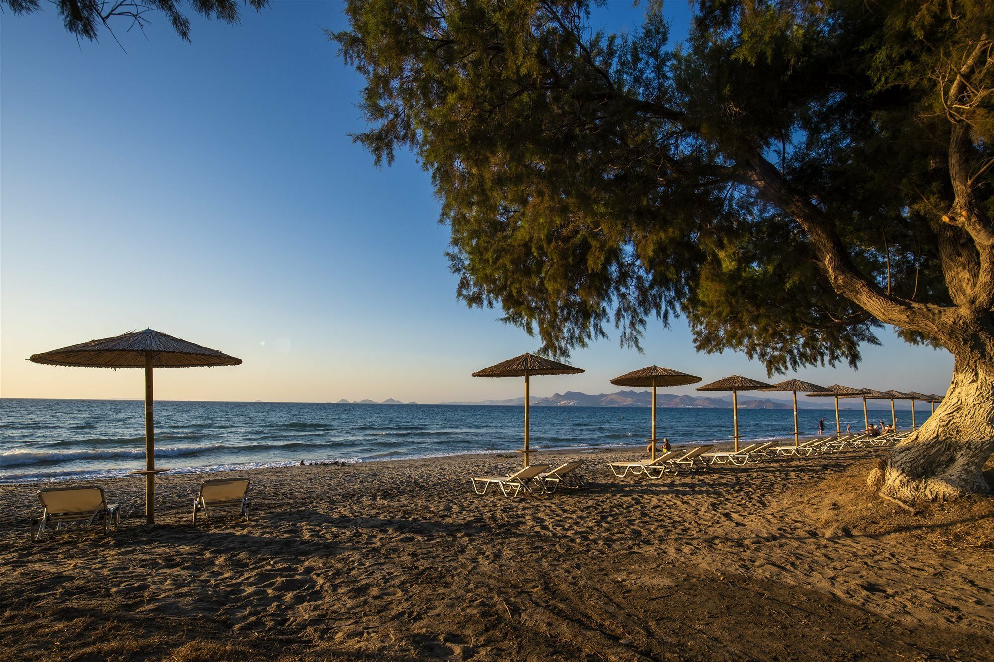 Aparthotel Angela Città di Kos Esterno foto